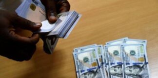 Diaspora remittances dropped by $18m in Q1 2024 – CBN