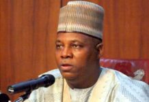Tinubu’s tough options prevented economic downfall, Shettima asserts