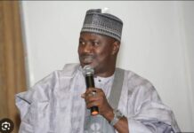 Nigerian govt plans revamp of milk production in livestock