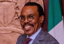 Rewane implores labour to reduce wage demands to prevent job losses