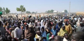 120 million people displaced by war, violence globally, UN Says