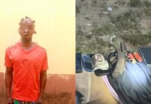 Delta Police arrests suspected armed robbers; Recover a cut-to-size double barrel gun, cartridges