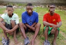 Delta police arrests suspected armed robbers, car snatchers, burglary suspects; recover guns