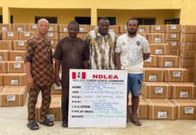 N4.7billion cocaine, meth seized as NDLEA bursts Lagos warehouse, arrests siblings in Aba