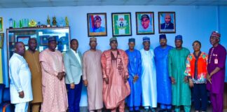 NDLEA, ALGON partner on drug war, to set up WADA committees at LGs, communities