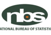 Nigeria’s income from income tax declined by N276bn in Q1 2024 – NBS