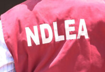 NDLEA arrests 65-year-old for dealing in illicit drugs in Sokoto