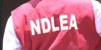 NDLEA arrests 65-year-old for dealing in illicit drugs in Sokoto