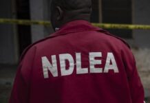 NDLEA burst warehouse, seize N4.7bn worth of drugs, arrests siblings in Aba