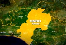 Police arrests man with 8 human skulls in Ondo