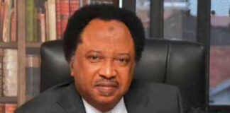 Sen Shehu Sani condemns opposition lawmakers for quietness in NASS