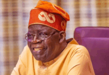 Tinubu appoints Argungu as chairman PSC, Nnamani as secretary