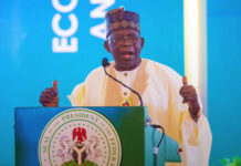 Tinubu calls for reforms to diversify beyond oil dependence