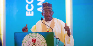 Tinubu calls for reforms to diversify beyond oil dependence