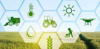 YoLa fresh raises $7m funding to address supply chain challenges