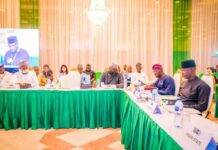 Governors mull export, import of electricity between states