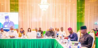 Governors mull export, import of electricity between states