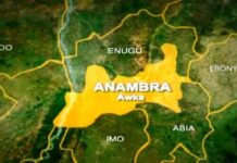 Vehicle crushes woman to death in Anambra