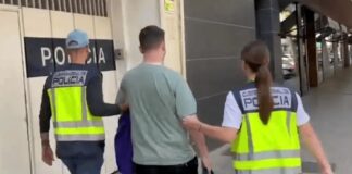 British national who allegedly hacked dozens of US firms arrested in Spain