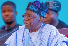 Nigerians in Diaspora remitted $646m in five months —Tinubu
