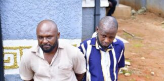 Wanted drug baron arrested in village mansion as NDLEA recovers meth, precursors, guns