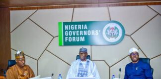 Governors meet on local council autonomy, minimum wage