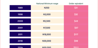 RipplesMetrics: The economic reality of Nigeria’s N70,000 new minimum wage