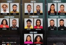 14 pairs of 28 housemates unveiled as BBNaija Season 9 begins