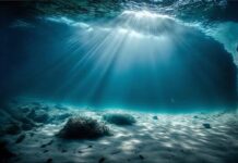 Scientists discover metallic minerals on deep ocean as oxygen source