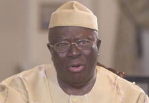 Afenifere demands probe into killings, foreign intervention calls during protests