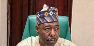 FACT CHECK: How true is Gov Zulum’s claim that 95% of Borno #EndBadGovernance protesters are under 14yrs?