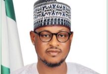 Katsina govt begins anti-terrorism operation in 19 LGs