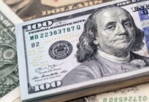 Capital import, diaspora remittance boost FX flows by 55% in six months —CBN