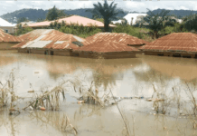 Seven persons missing, about 100 houses submerged in Niger flood