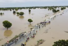 Nigeria confirms 185 dead from floods