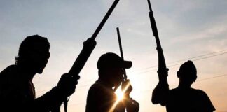 Gunmen kill NGO executive director in Benue