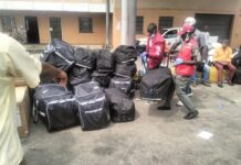NDLEA smashes cocaine syndicates, recovers multi-billion-naira drugs in nationwide raids