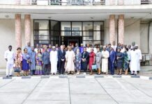 Global, national partners rally support for NDLEA’s alternative development project