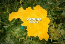 11 dead, four injured in Kaduna auto crash