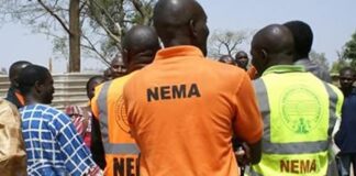 149 Nigerians repatriated from Niger Republic, 2 sustain injuries