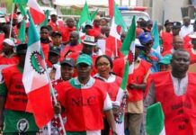 Amnesty International alleges Nigerian govt targeting NLC leaders