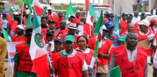 Amnesty International alleges Nigerian govt targeting NLC leaders