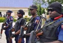 NSCDC recovers two bodies from Jigawa pond