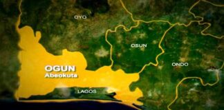 12 burnt to death, four injured in Ogun auto crash