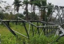 Vandals destroy 13 transmission towers, plunge Bayelsa into blackout
