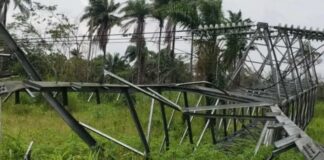 Vandals destroy 13 transmission towers, plunge Bayelsa into blackout