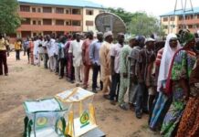 PDP sweeps all 20 chairmanship seats in Bauchi LG elections