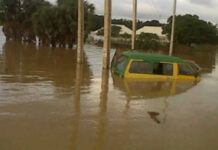 413 displaced, 1, 650 houses destroyed in Yobe flood