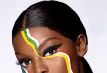 Bolt, Uber drivers hit as Chidimma’s withdrawal sparks digital ‘war’ between Nigerians, South Africans