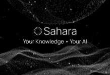 Sahara AI acquires $43m to develop decentralized AI system